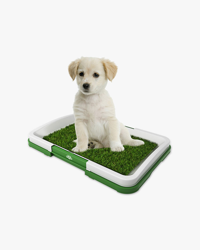 Artificial Turf Pet Grass Mat