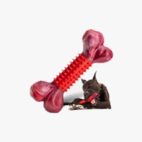 Cat Foods